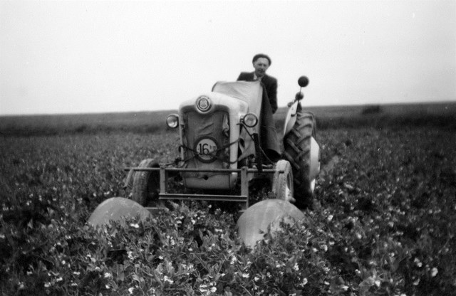 foto